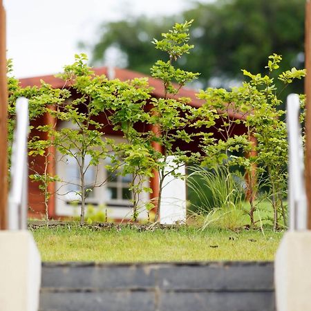 Hotel Giltraps Townhouse & Glamping Kinnitty Esterno foto